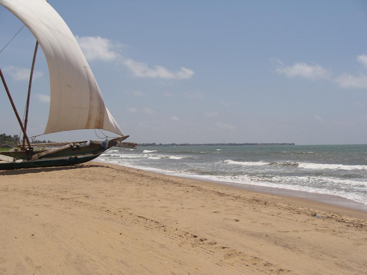 The Icebear Guesthouse Negombo Eksteriør billede
