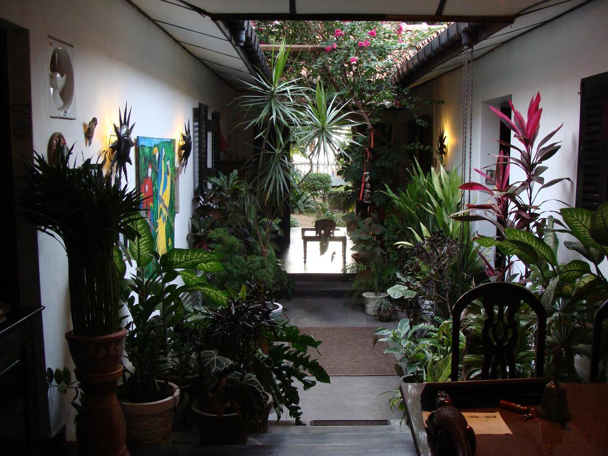 The Icebear Guesthouse Negombo Eksteriør billede