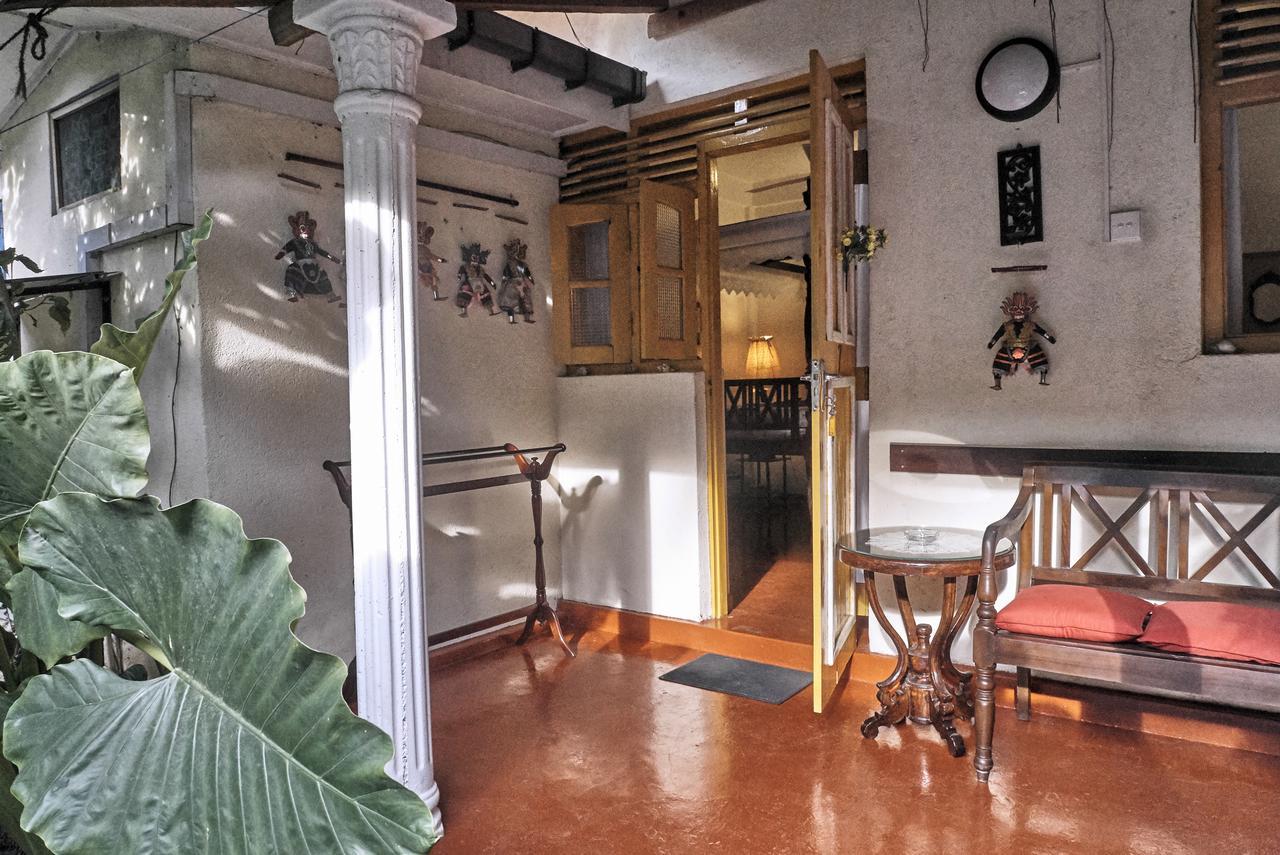 The Icebear Guesthouse Negombo Eksteriør billede