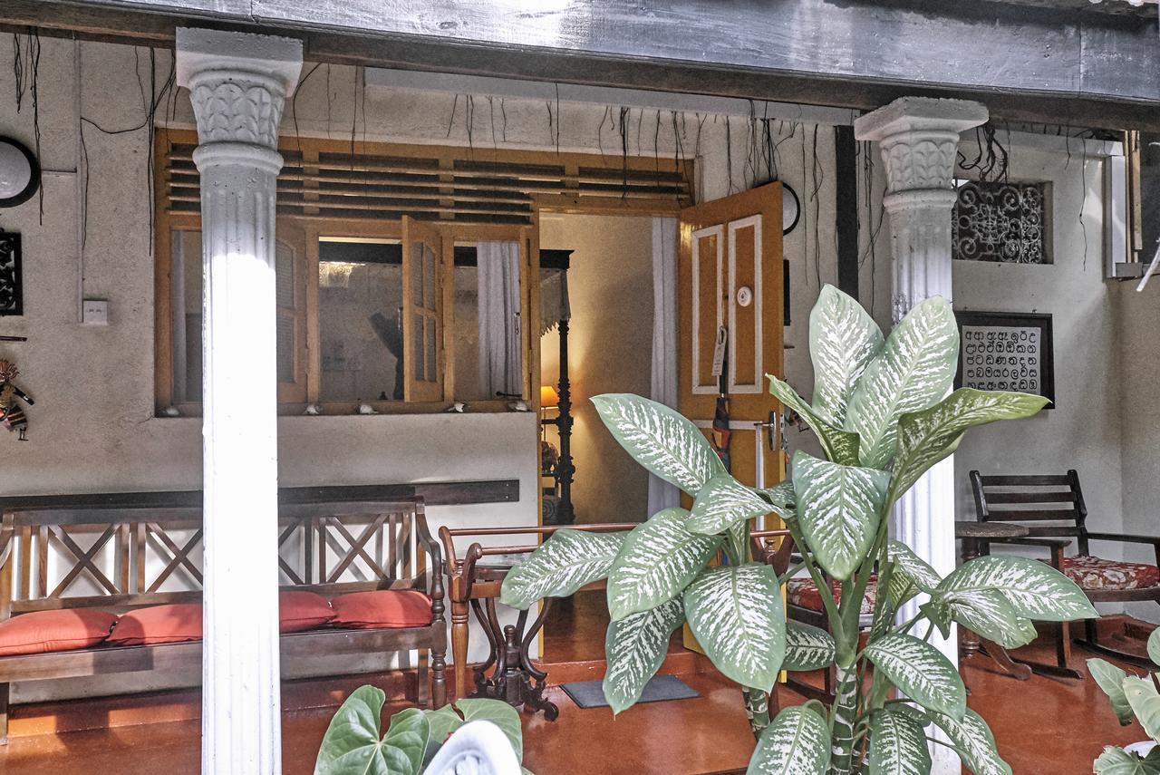 The Icebear Guesthouse Negombo Eksteriør billede