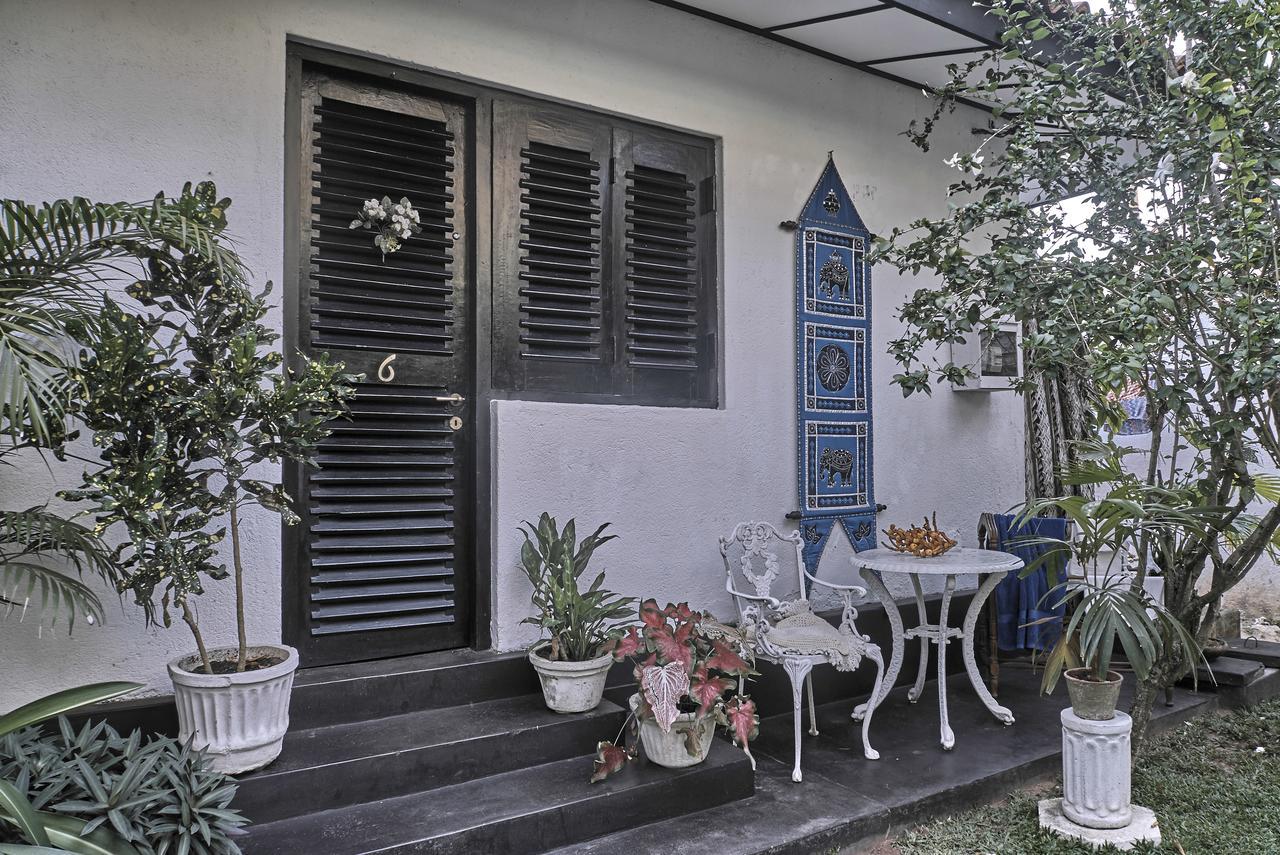 The Icebear Guesthouse Negombo Eksteriør billede