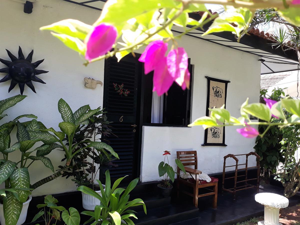 The Icebear Guesthouse Negombo Eksteriør billede