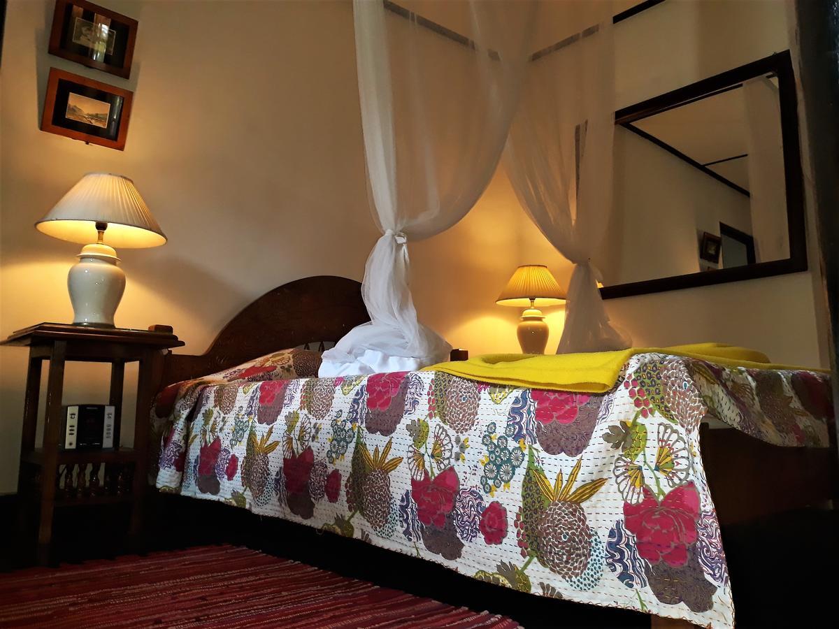 The Icebear Guesthouse Negombo Eksteriør billede