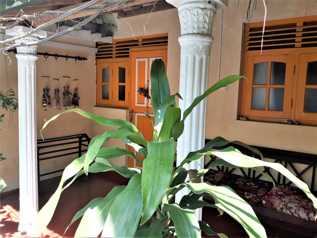 The Icebear Guesthouse Negombo Eksteriør billede