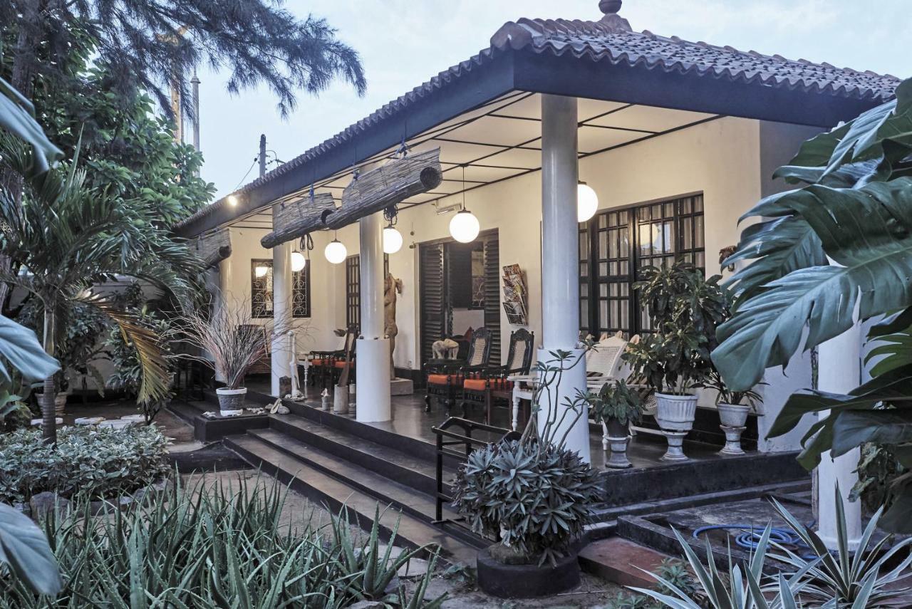 The Icebear Guesthouse Negombo Eksteriør billede