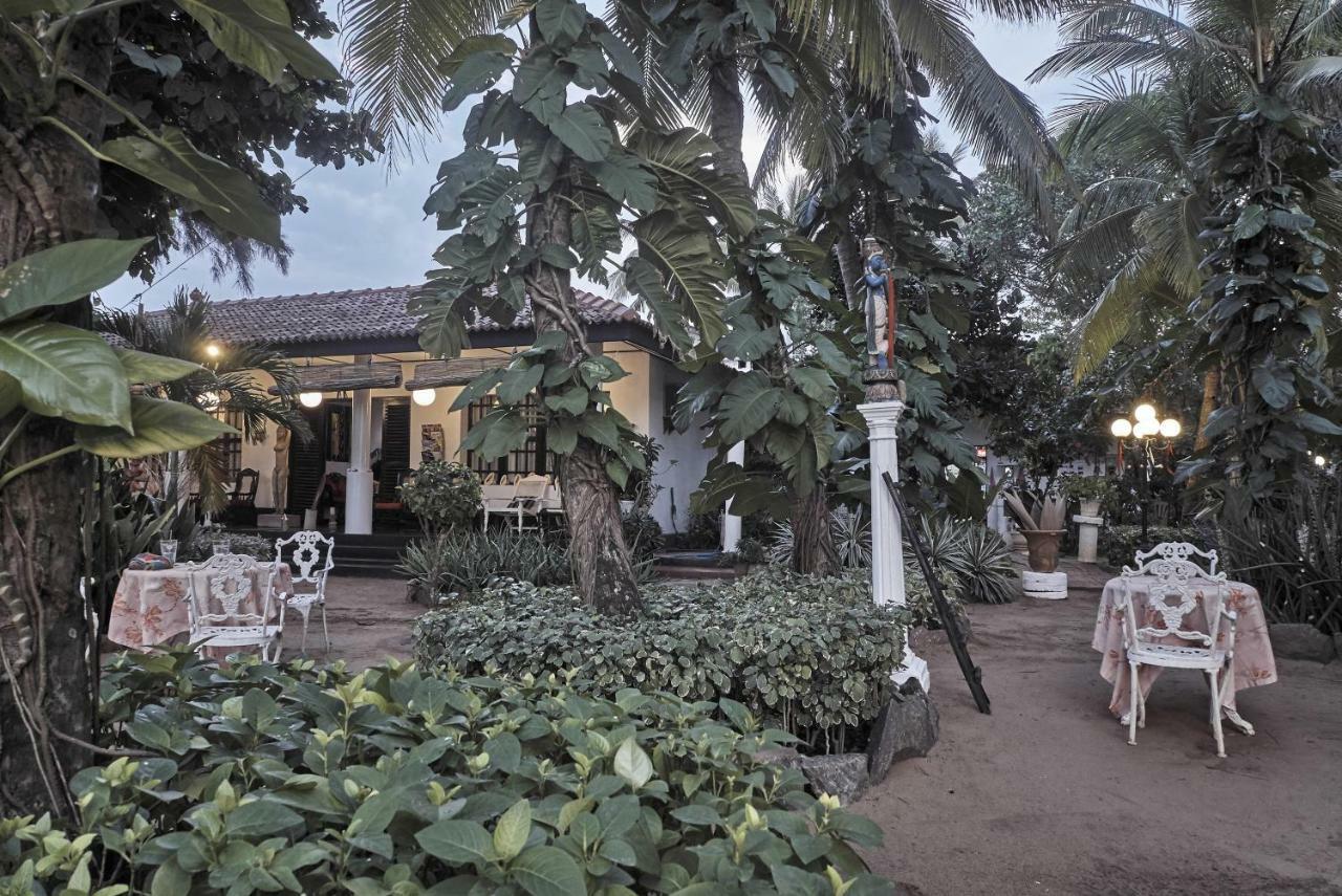 The Icebear Guesthouse Negombo Eksteriør billede