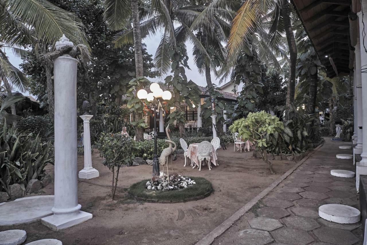 The Icebear Guesthouse Negombo Eksteriør billede