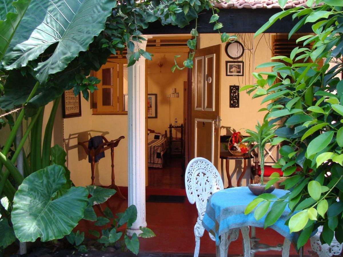 The Icebear Guesthouse Negombo Eksteriør billede