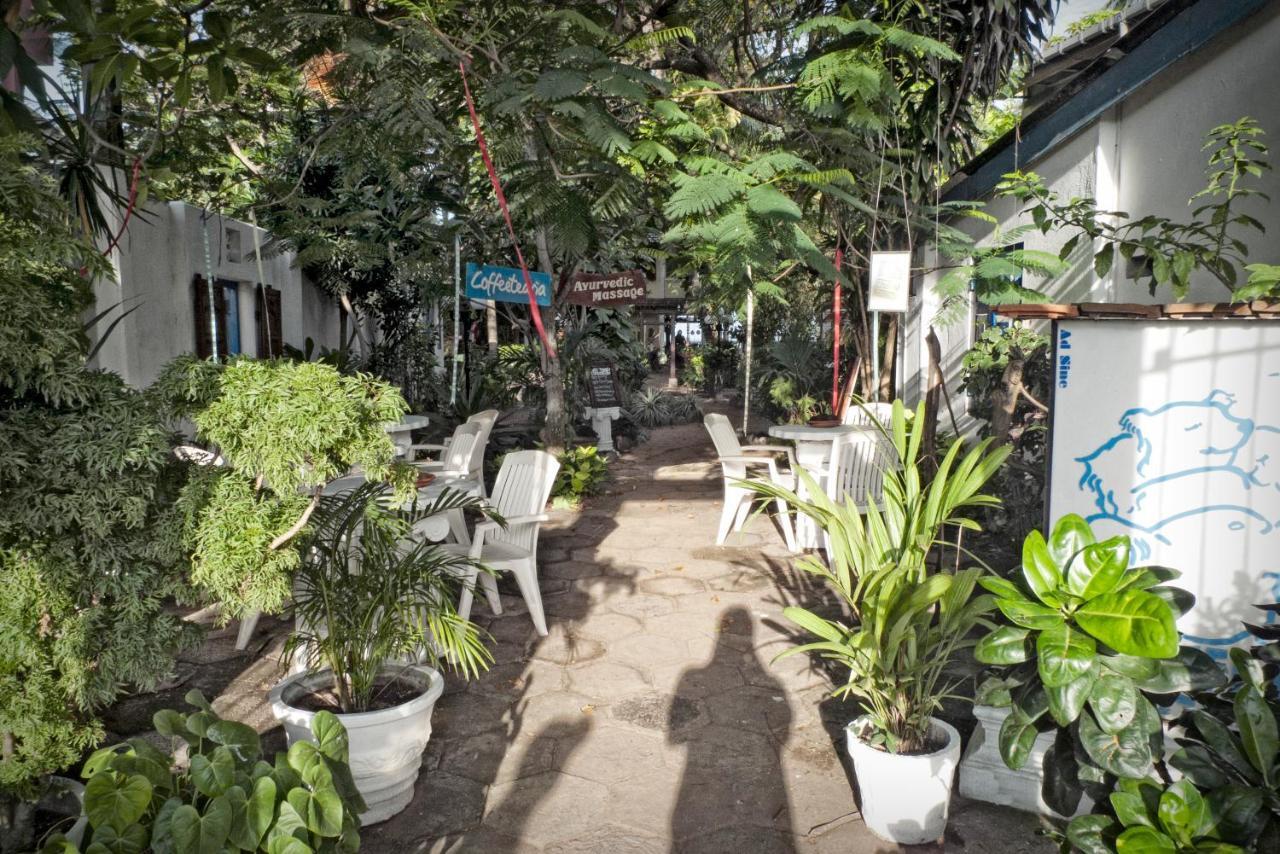 The Icebear Guesthouse Negombo Eksteriør billede